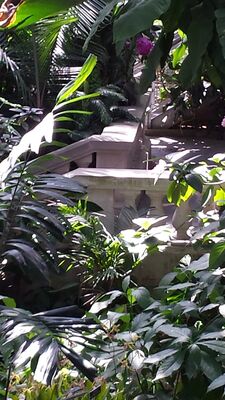 20130815_155000.jpg