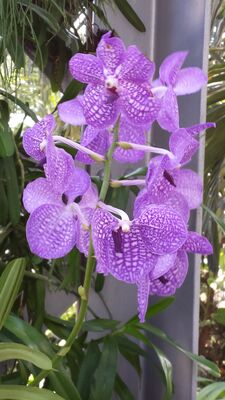 20130815_155036.jpg
