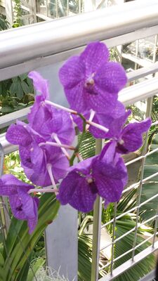 20130815_155046.jpg