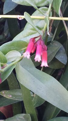 20130815_155109.jpg