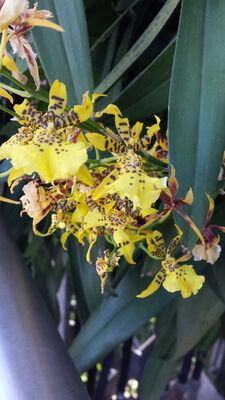 20130815_155121.jpg