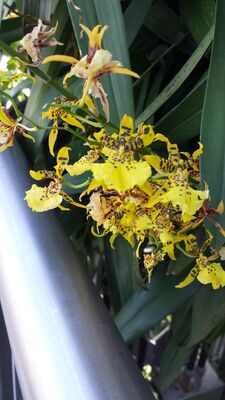 20130815_155129.jpg