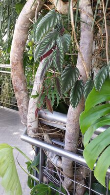 20130815_155156.jpg