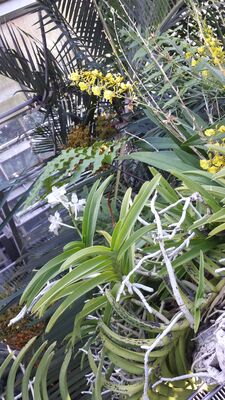 20130815_155207.jpg