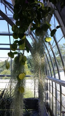 20130815_155226.jpg