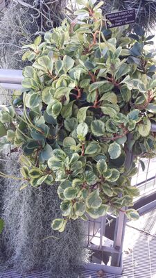 20130815_155246.jpg