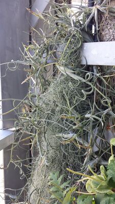 20130815_155253.jpg