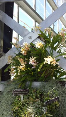 20130815_155336.jpg