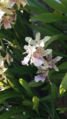 20130815_155344.jpg