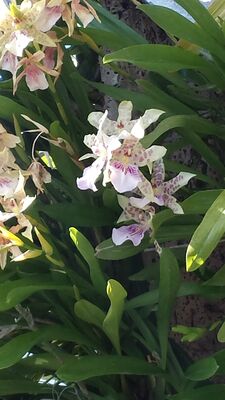 20130815_155355.jpg