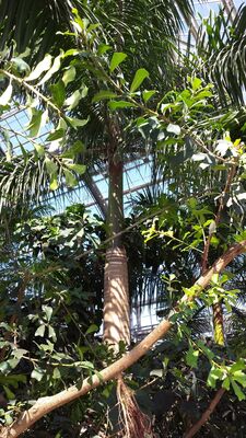 20130815_155408.jpg