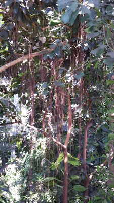 20130815_155418.jpg