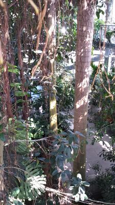 20130815_155428.jpg
