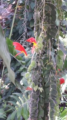 20130815_155438.jpg