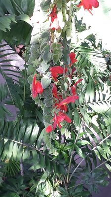 20130815_155446.jpg