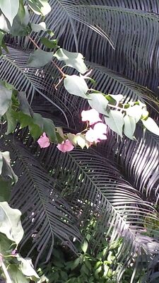 20130815_155507.jpg