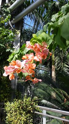 20130815_155533.jpg