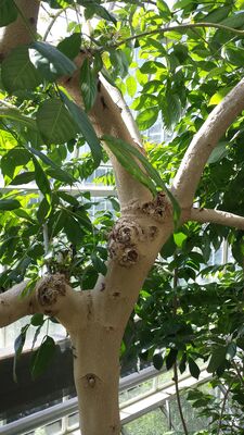 20130815_155601.jpg
