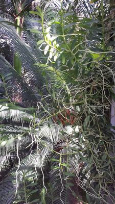 20130815_155613.jpg