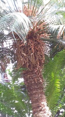 20130815_155642.jpg