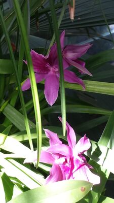 20130815_155658.jpg