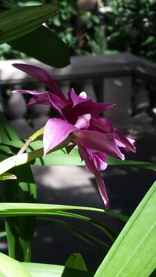 20130815_155730.jpg