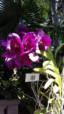 20130815_155759.jpg
