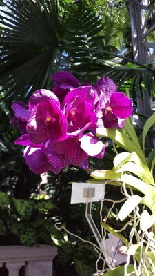20130815_155802.jpg