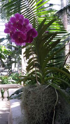 20130815_155816.jpg