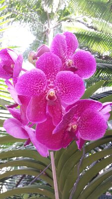 20130815_155829.jpg