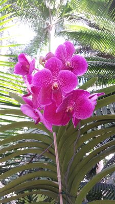 20130815_155836.jpg