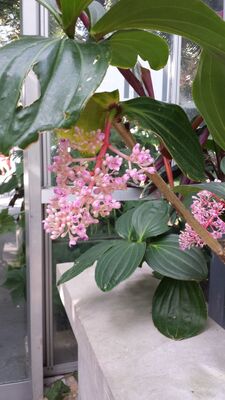 20130815_155846.jpg