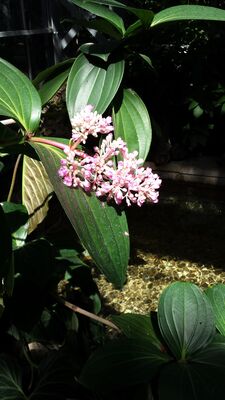 20130815_155856.jpg
