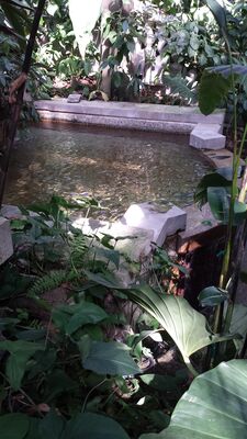 20130815_155912.jpg