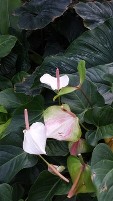 20130815_155926.jpg