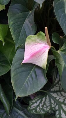 20130815_155935.jpg