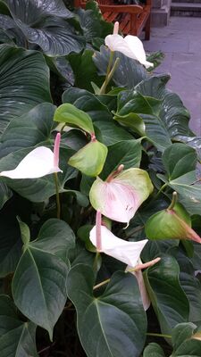 20130815_155944.jpg