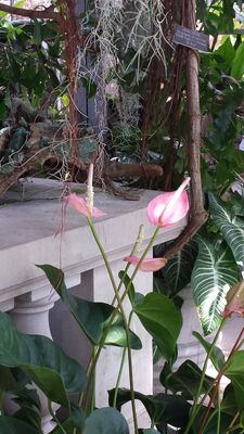 20130815_160006.jpg