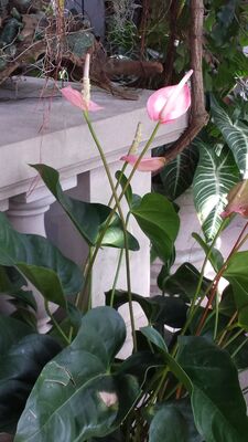 20130815_160015.jpg