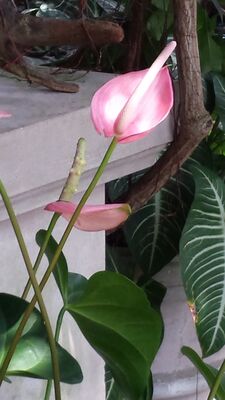 20130815_160023.jpg