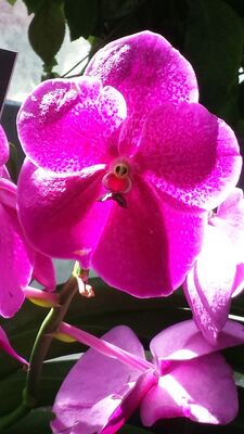 20130815_160038.jpg