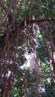 20130815_160121.jpg