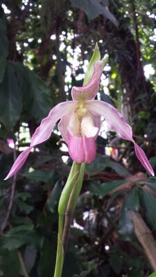 20130815_160136.jpg