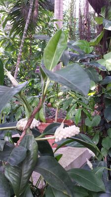 20130815_160153.jpg