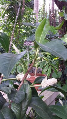 20130815_160159.jpg