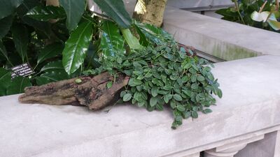 20130815_160211.jpg