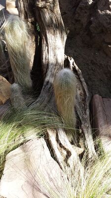 20130815_160242.jpg