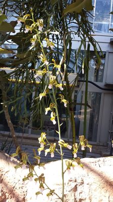 20130815_160254.jpg