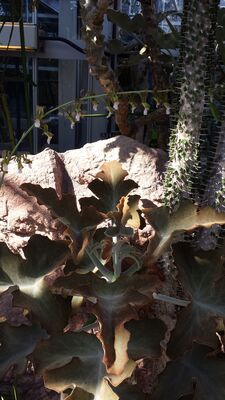20130815_160301.jpg