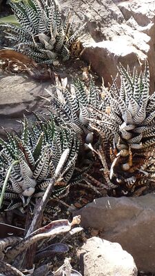 20130815_160322.jpg